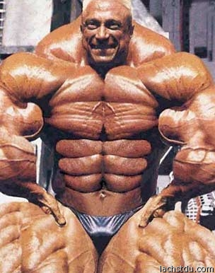 huge-muscles