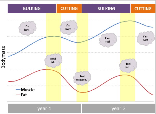 The Long-Term Bodybuilding Plan