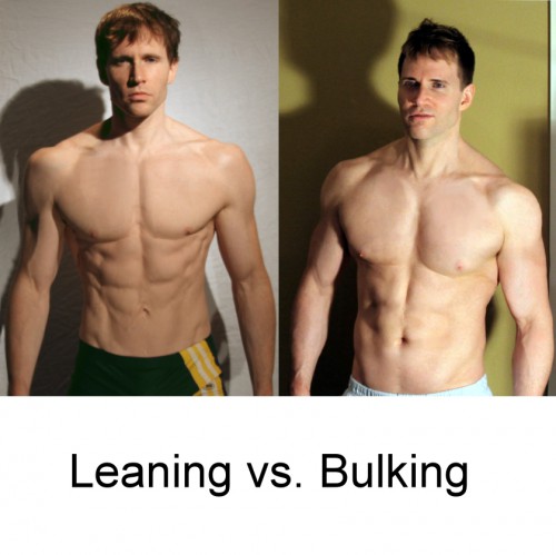 Leaning Phase vs. Bulking Phase