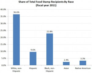 Food Stamps and Race: version 1